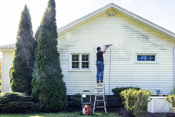 Best Sidewalk and Walkway Cleaning  in Falls Creek, PA